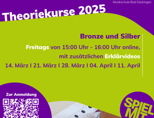 Theoriekurse 2025
